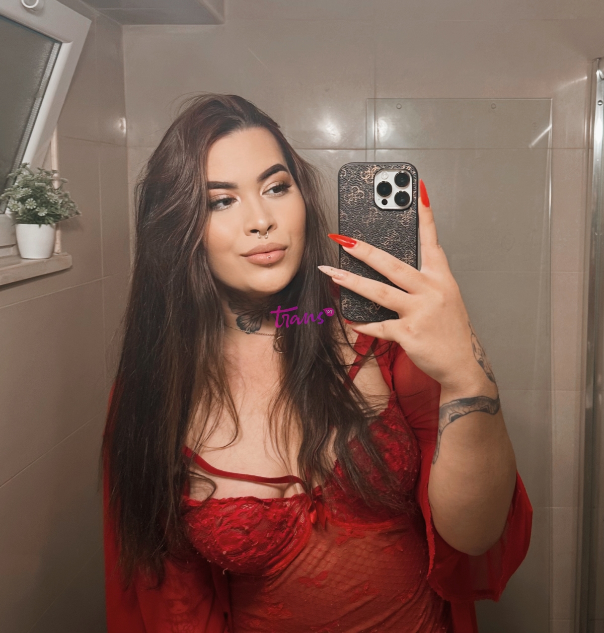 Sophy Trans - Linha de Sintra TAMBÉM DESLOCAÇÃO