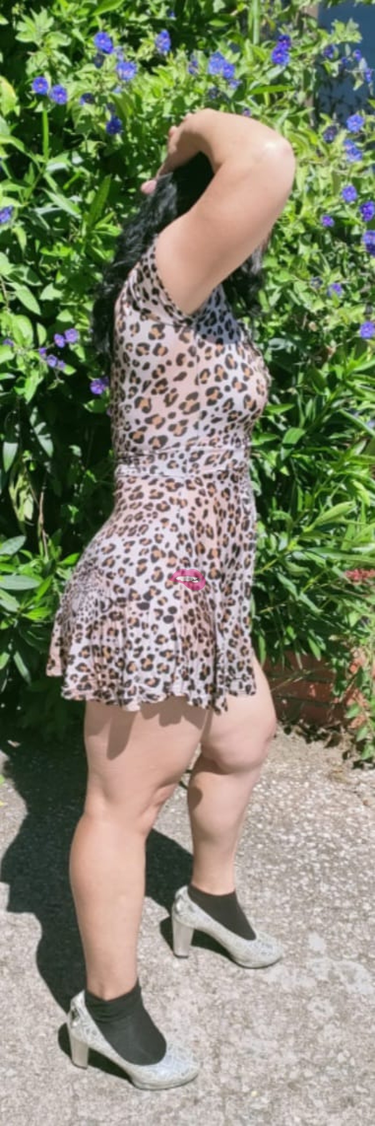 Escorts: Aline